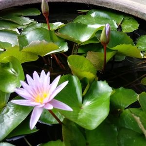 Meet your Posher, Tationa